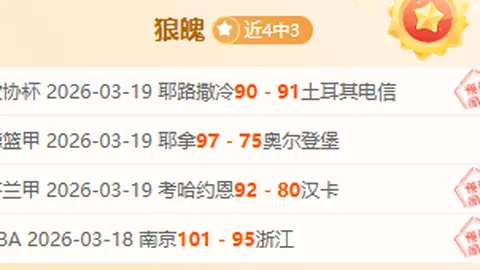 印尼羽毛球公开赛：何冰娇惜败安洗莹，国羽混双力争金银牌