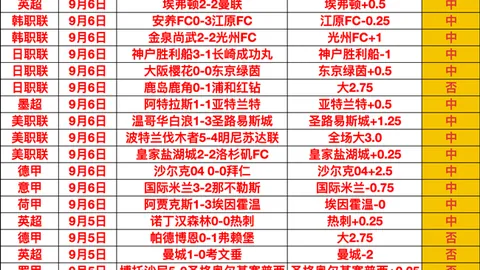 罗电竞鞋，与爱游戏app《绝地求生》跨界合作